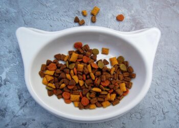 Top Picks for Finicky Felines: The Best Allergy-Friendly Cat Food for Picky Eaters