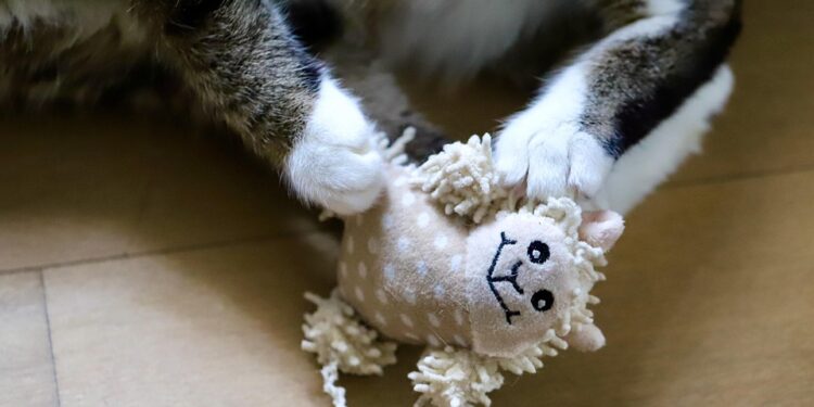 Paw-some Playtime: How Ball Toys Can Keep Your Cat Happy and Healthy