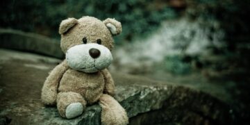 Purr-fect Playtime: The Ultimate Guide to Cat Water Toys for Happy and Hydrated Felines