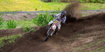 The Mysterious Transformation: How Vaccinations Can Alter Your Cat’s Behavior