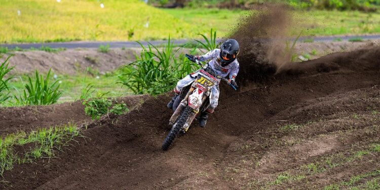 The Mysterious Transformation: How Vaccinations Can Alter Your Cat’s Behavior