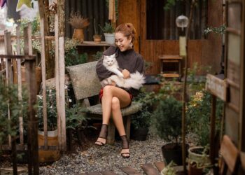 The Top 10 Medium-Sized Apartment Cats: Finding the Perfect Feline Friend for Your Home