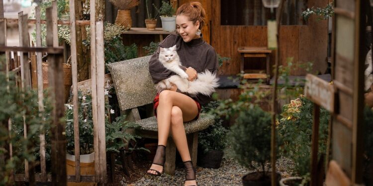 The Top 10 Medium-Sized Apartment Cats: Finding the Perfect Feline Friend for Your Home