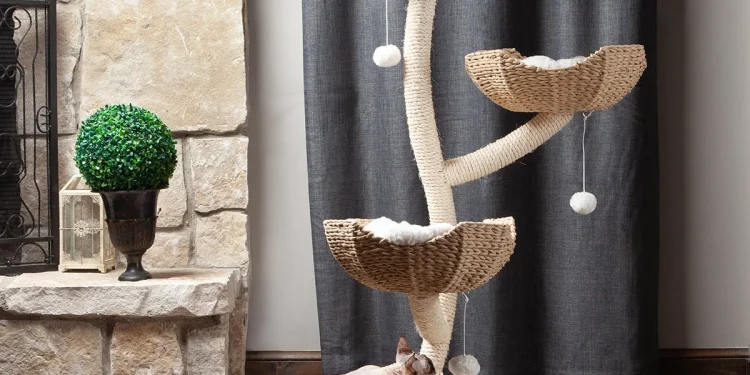 Best Cat Trees for All Cat Personalities in 2025: Top 5 Picks